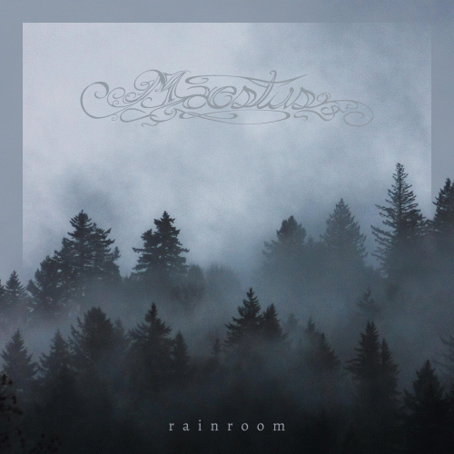Maestus (USA) : Rainroom